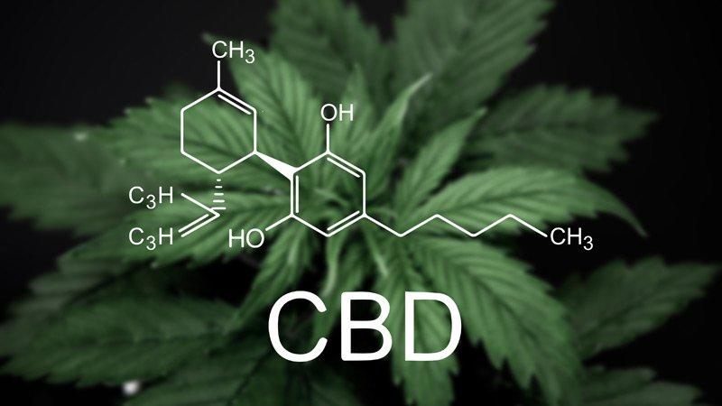 CBD and THC: A comparison